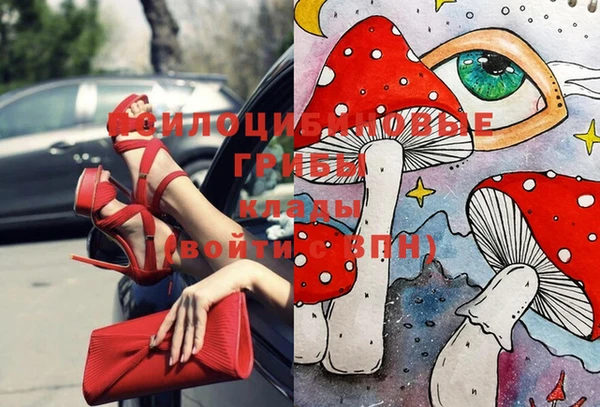 таблы Алексин