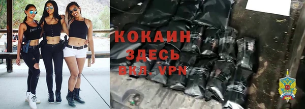 метадон Гусь-Хрустальный
